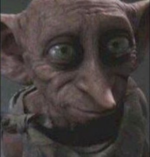NoContextBrits's tweet image. Remember Dobby from Harry Potter? This is him now. Feel old yet?