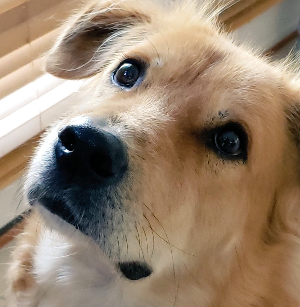 Eddie 🌽 tweet media