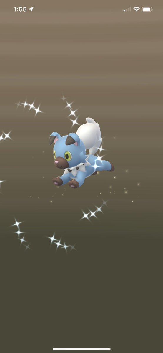 PkmnGoNeo's tweet photo. Best 10k egg hatch I’ve had in a long time! ✨✨ #Pokemon #PokemonGO #Shiny #ShinyPokemon #ShinyCheck #ShinyRockruff #Rockruff #PoGO #ポケモンGO ＃ポケモン https://t.co/FkFFTrb6Nv