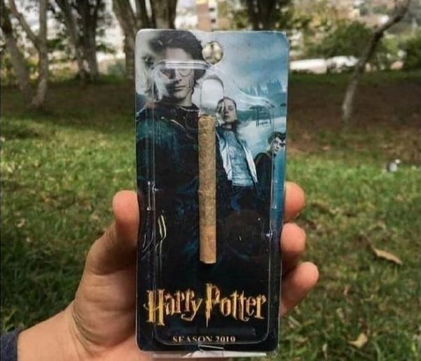EuFumoUm's tweet photo. beck do harry potter pra ficar bruxão https://t.co/nXum6MtCUj