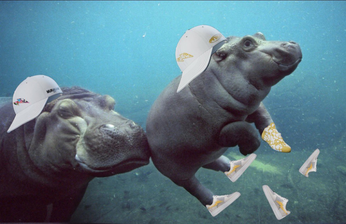 HeyShif's tweet photo. Clones, plz give a warm welcome to: The Drippopotamus

new to @RTFKT, Drippo &amp; Baby Drippo were spotted at Nammos rocking Murakami Drip &amp; Angel. Baby Drippo loves to drip 'n dip even if her shoes always fall off

s/o to @Zaptio @benitopagotto @clegfx for the 💧 https://t.co/hhaIHsLTDj