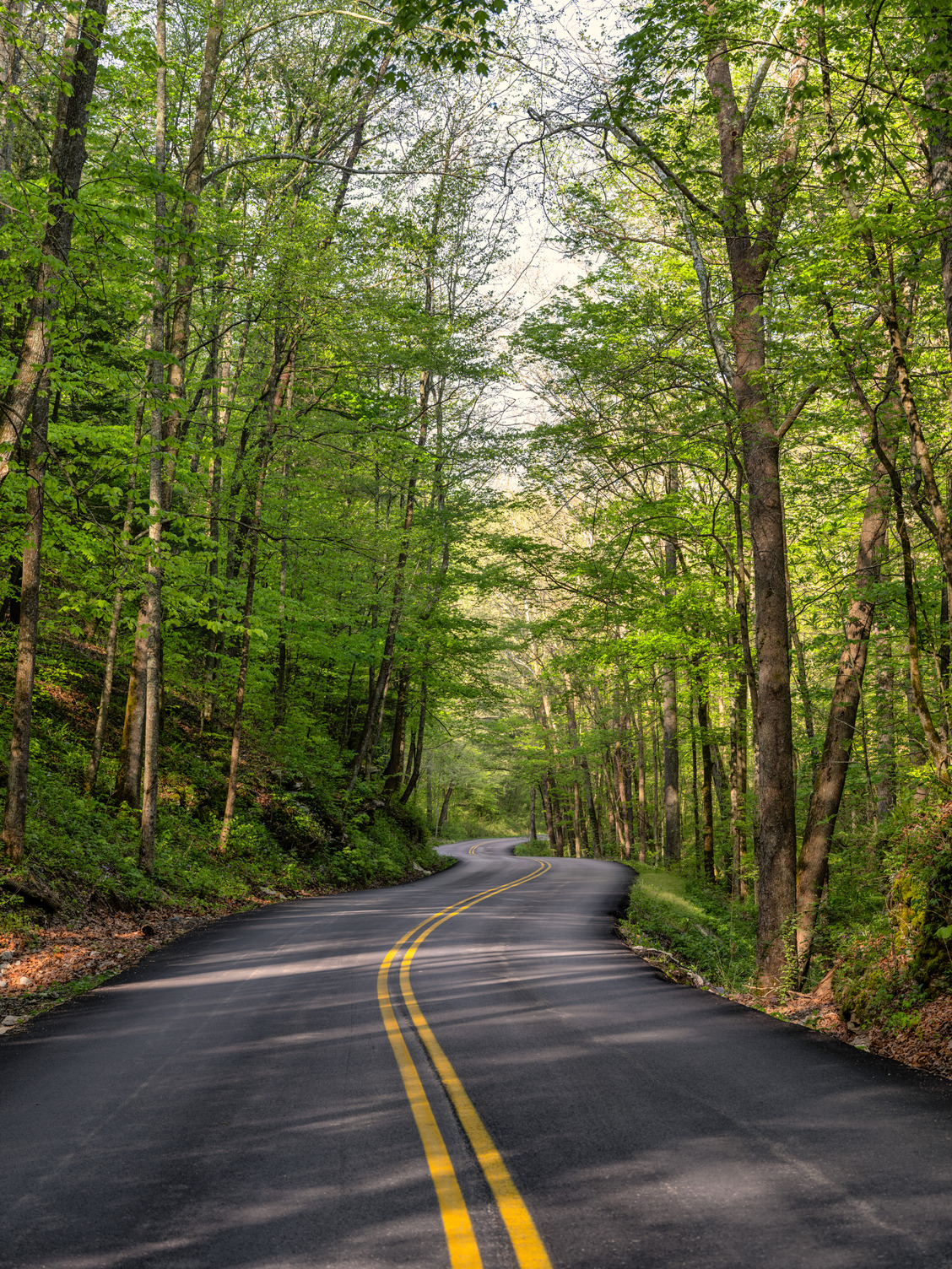 Herrington Lake, Kentucky (@herrington_lake) / Twitter