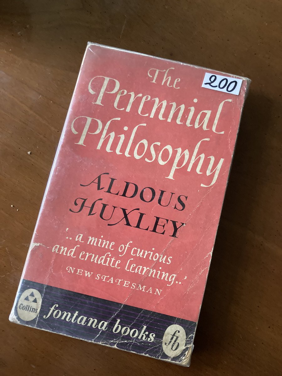 Something tells me that we are gonna get along pretty well  🌲♾🧞‍♂️