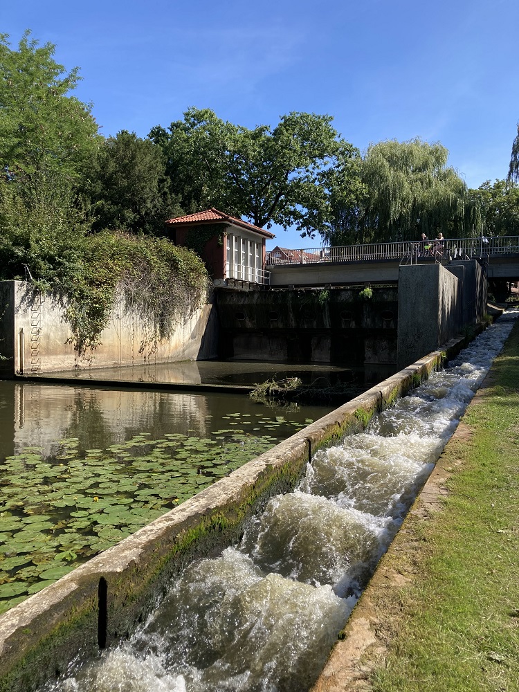 Resultaten vismigratieonderzoek #Swimway. Vis vindt zijn weg op ‘snelweg’ #Vecht. Vele vissen zijn gezenderd en gevolgd over 200 km tussen Waddenzee en bron de Vecht. Voor veel vissoorten is migreren noodzakelijk voor hun voortbestaan. 
<a href="/WDODelta/">Waterschap Drents Overijsselse Delta</a> <a href="/NAarnink/">Nettie Aarnink</a> vechtstromen.nl/projecten/actu…