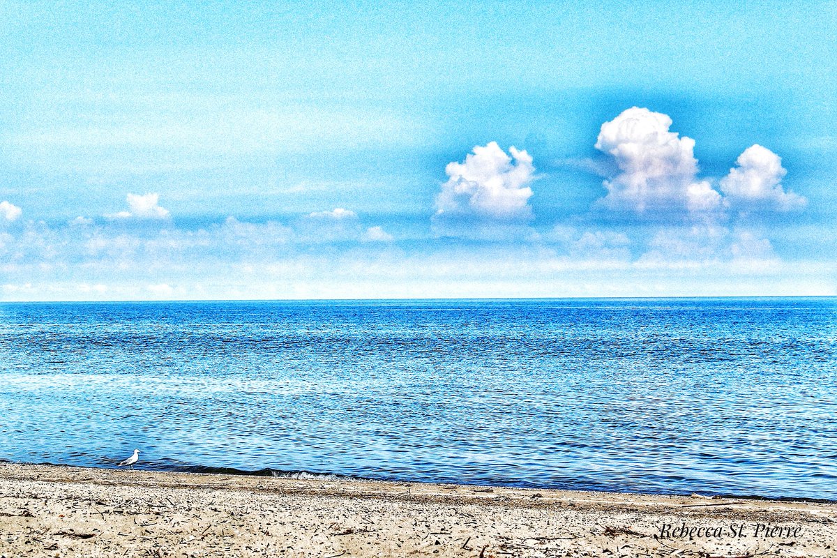Celebrating #LakeErie's many gifts on #WeAreLakeErie day. Not only is it a source of drinking water and home to many species of birds, it's also the perfect place to play and a soothing spa on a hot summer's day.

#GreatLakes #naturephotography <a href="/Rondeau_PP/">Rondeau Provincial Park</a> #NatureIsTheAnswer