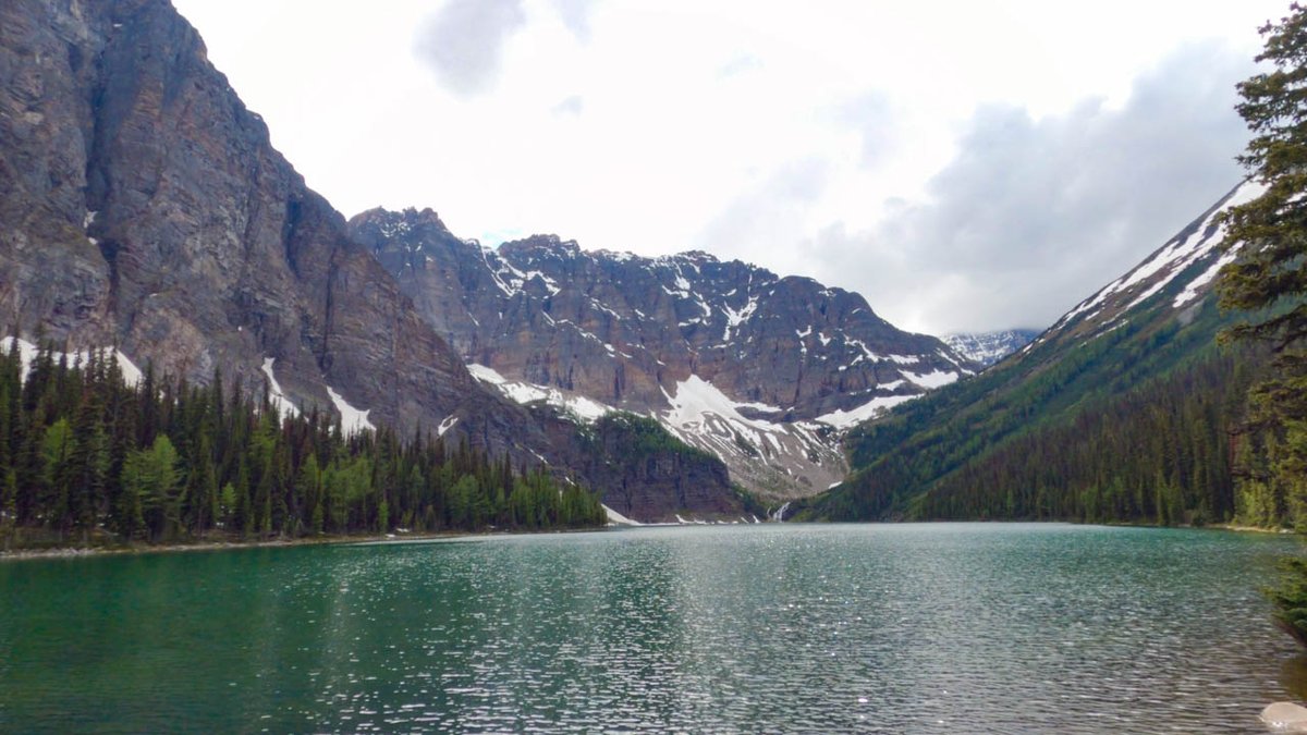 hikervibes's tweet photo. A forest climb to a beautiful lake! Taylor Lake makes a great overnight backpacking trip for beginners.
https://t.co/kHWE4kDhX8

#backpacking #hiking #BanffNationalPark #getoutside #explorealberta https://t.co/W7B7rusOgo