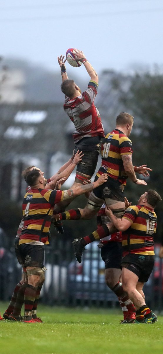 Clwb Rygbi Llanymddyfri tweet media