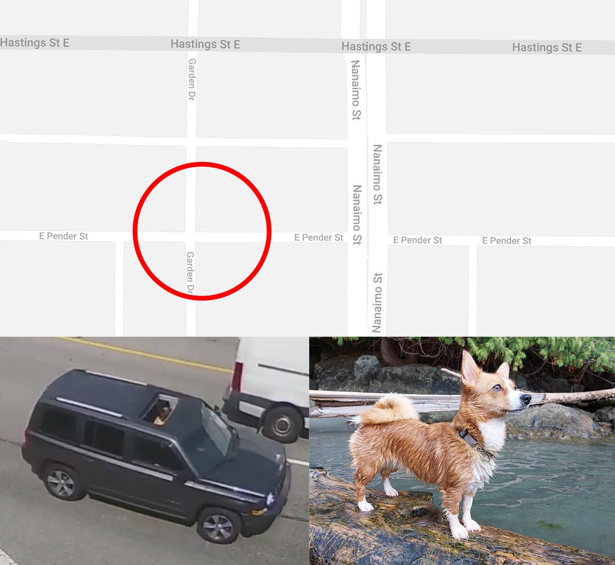 VancouverPD's tweet image. #VPDNews Vancouver Police are asking for the public’s help in identifying the driver of an SUV that struck a woman and her dog in East Vancouver, killing the dog.

Media Release: bit.ly/3B1gy3q