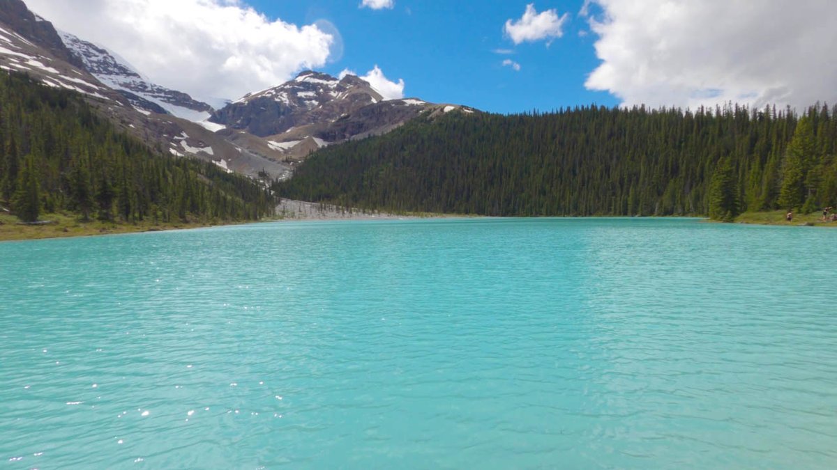 hikervibes's tweet photo. Right on the border between #banff and #jasper, Boundary Lake is a great quick hike to stop for a break on the #icefieldsparkway 
https://t.co/iqFj03Mp0U

#hiking #explorealberta #mountainlake #getoutside https://t.co/ZKzktMWmT2