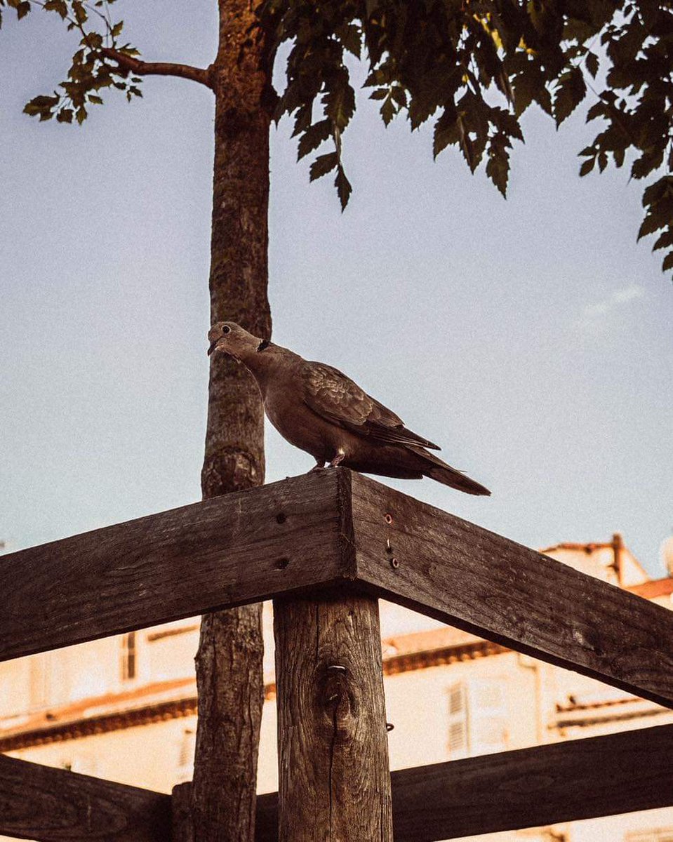 إيّاك أن تكون من أصحاب (العين الضيّقة) أولئك الذين يظنّون أن أرزاق غيرهم تُنقِص من أرزاقهم، وسعادات غيرهم تأخذ من رصيد سعادتهم، ونجاحات غيرهم تعني فشلهم، واعلَم بأن لكل إنسان في هذه الحياة رزقه المُقَدَّر، ودربه المكتوب، وقَدره المحتوم، و "أن ليس للإنسان إلّا ما سَعَى".