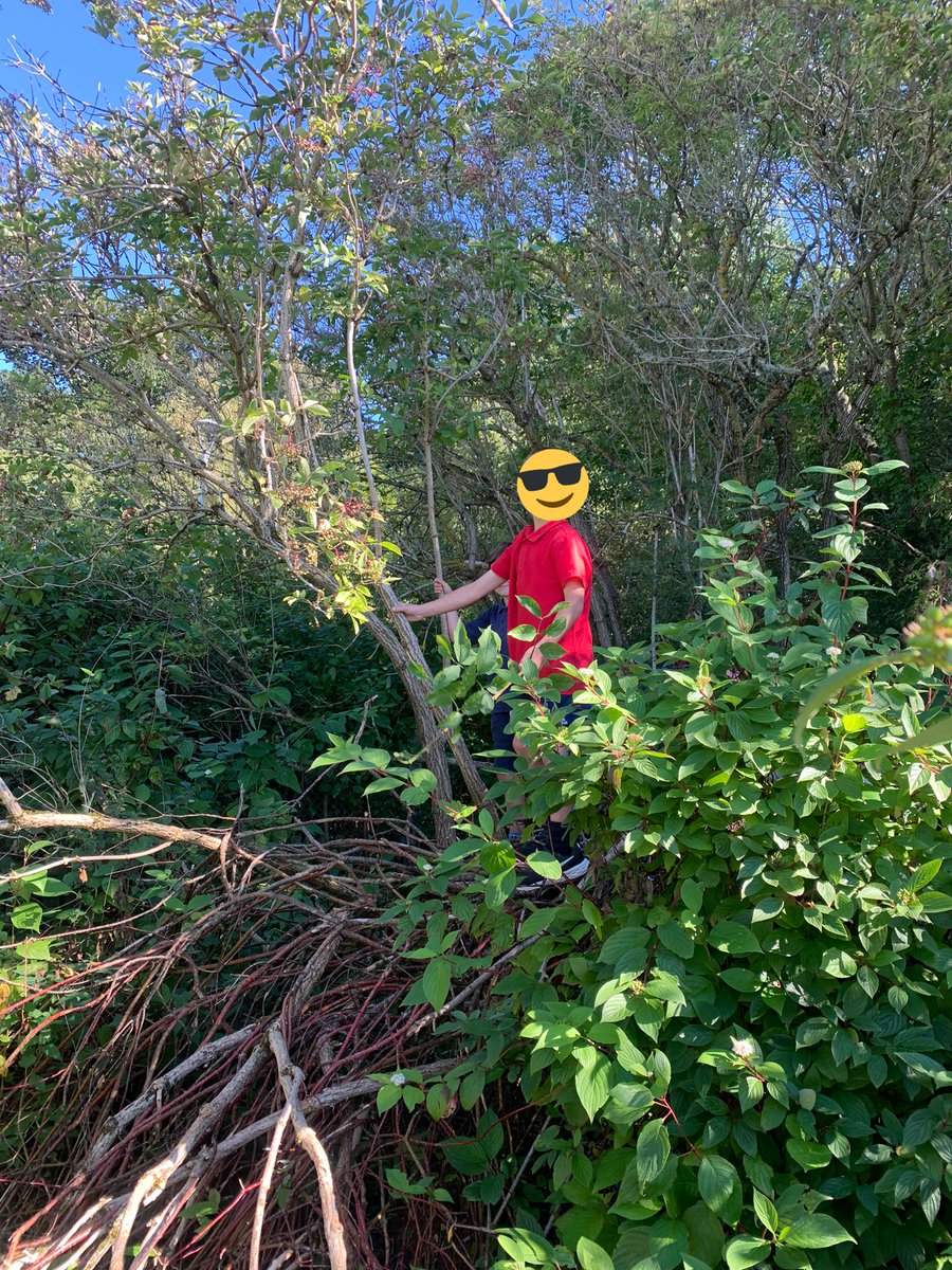 CaitlinRostock's tweet photo. Outside for some play in the garden this afternoon #outdoors #play https://t.co/bExR8g8dd5