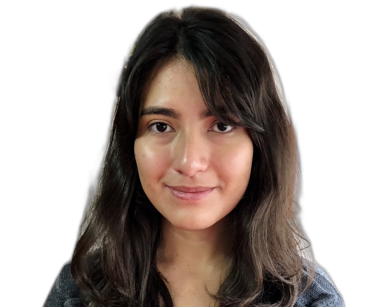 Harley Suchiang, a graduate of IISER-Kolkata joins us for a lab rotation and Pramitha Kamath, a graduate from CUSAT, joins for her PhD on particle manipulation using nanofibres.  Welcome to both!   Meanwhile we say farewell to Jennifer Sanchez who starts her PhD in IST Austria!