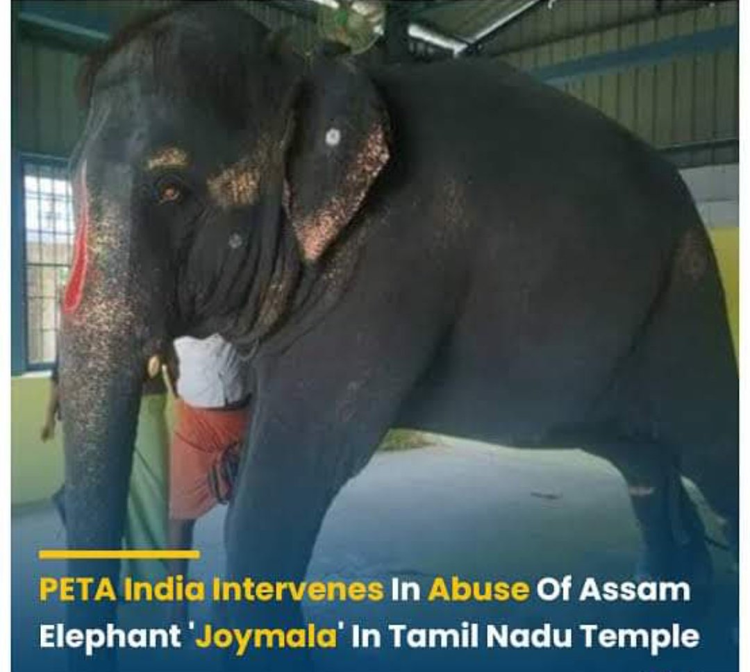 bhandariiiRekha's tweet photo. #release_joymala 
#Savejoymala 
#joymala @PetaIndia @narendramodi @himantabiswa @ParveenKaswan https://t.co/kMd15N9Vy5