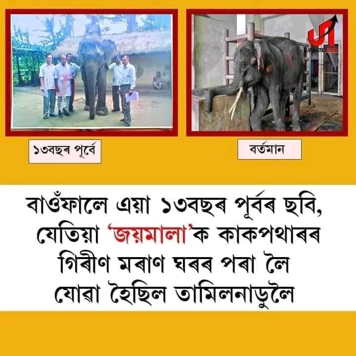 Puspanj29996739's tweet photo. #release_joymala
#save_joymala 
#savejoymala 
#joymala 
#জয়মালা 
#BRINGJAIMALABACK
#JAIMALA https://t.co/TMKbUoLjDl