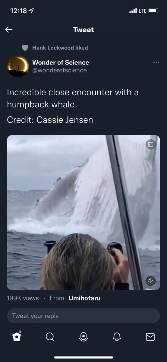 kunkel_kurt's tweet photo. My favorite tweets are the ones hank likes to support his Mount Rushmore picks days after the pod comes out 😂😂😂 @BarstoolBigCat @hen_ease @PFTCommenter @PardonMyTake https://t.co/3RY7qkfhyf