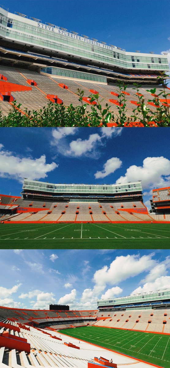 GatorsFB's tweet photo. 📲 Your new wallpaper

📍 The Swamp 

#GoGators | #WallpaperWednesday https://t.co/V1f49bqV3c