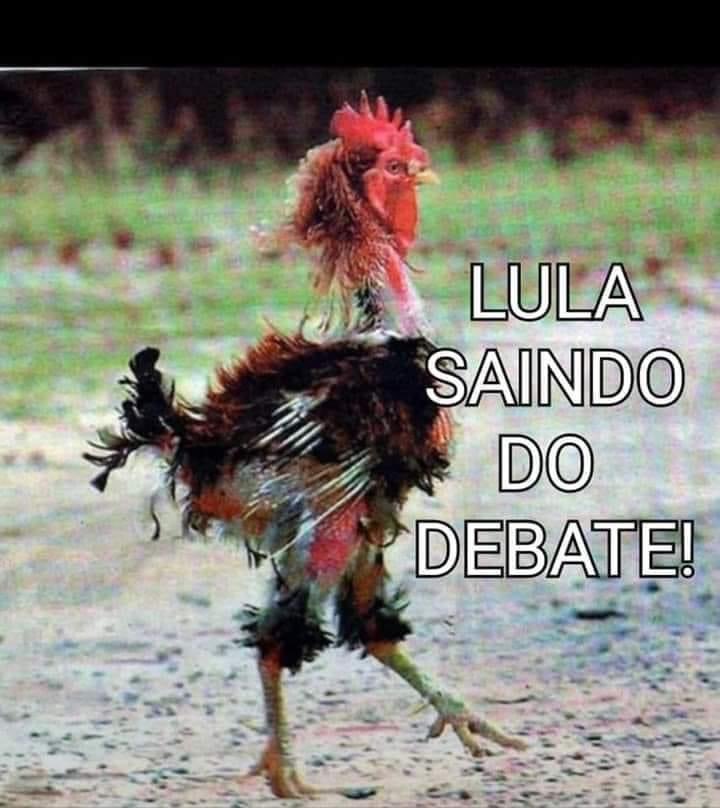 MariaEl79894934's tweet photo. @felipeneto DESESPERADOS ESTÃO VCS DEPOIS DO PRESIDENTE BOLSONARO DEPENAR O LADRÃO DE NOVE DEDOS NO DEBATE. https://t.co/nQj5hzcnTs