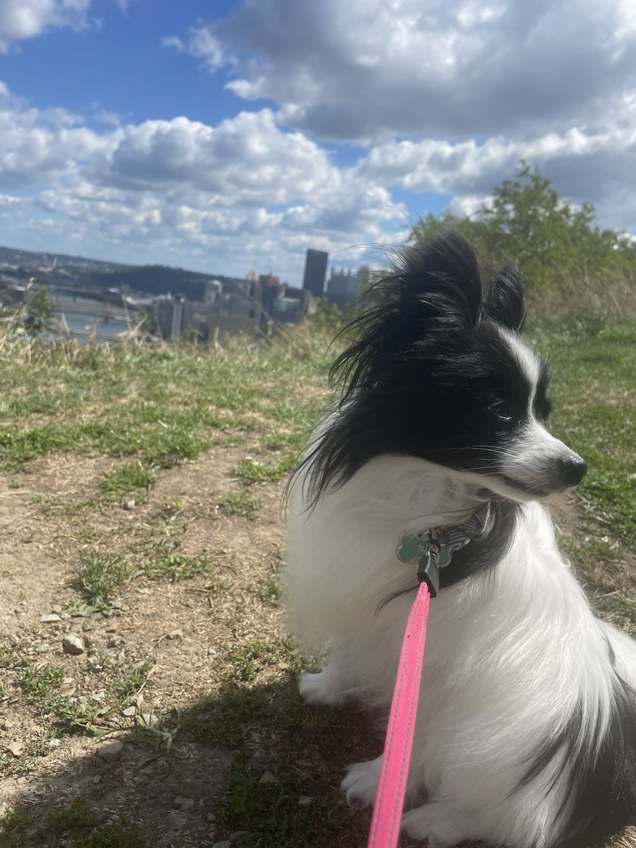 Ginny Herbert tweet media