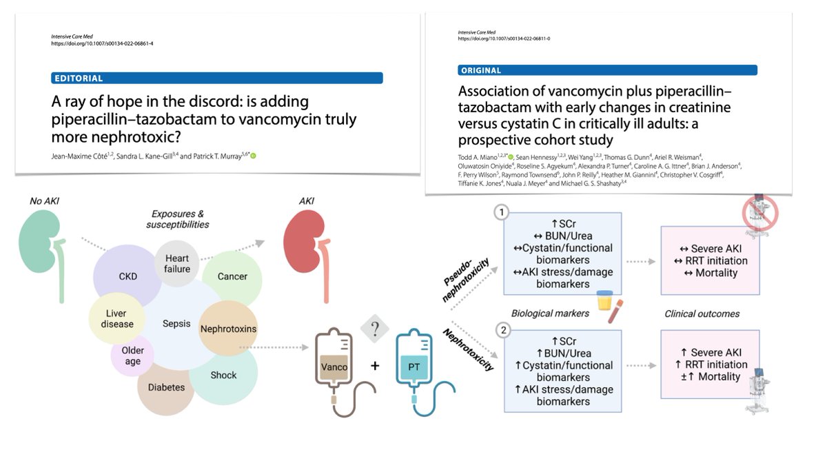 yourICM's tweet photo. Vanco + pip-tazo inexpensive/commonly used #ICU regimen w MSRA/pseudomonal coverage: ⬆️ risk of #AKI? Mixed evidence &amp; uncertainty! Pseudo or true nephrotoxicity? Using functional/damage biomarkers required.
Editorial
💉https://t.co/kTqAZg56hd

Refers to
💉https://t.co/p14pevNIje https://t.co/YeCzhI8LSl