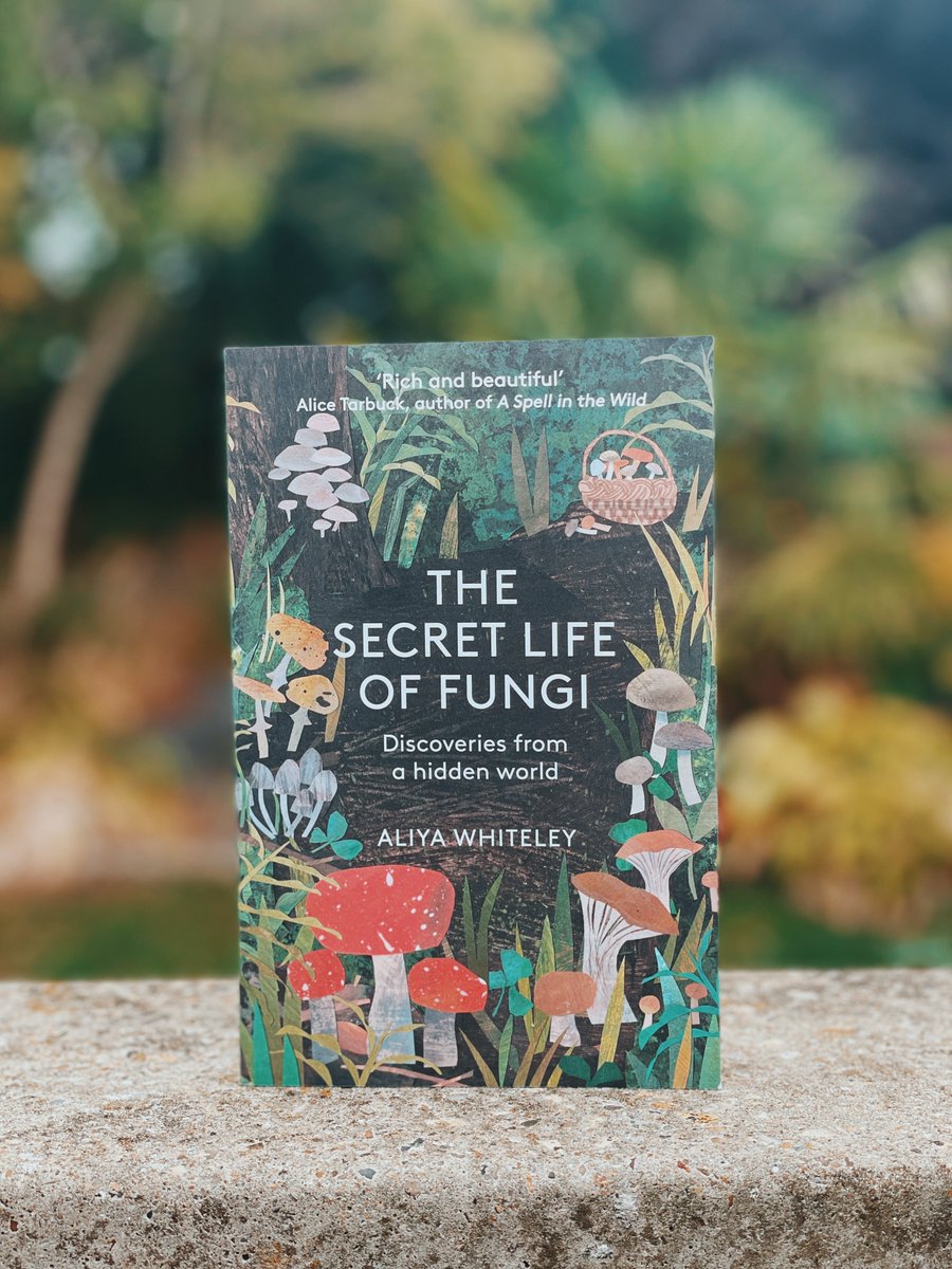 Have you seen this gorgeous paperback cover, illustrated by the brilliant @cloverrobin? Spot Aliya Whiteley's #TheSecretLifeOfFungi in a bookstore near you from 29 September!​​​amzn.to/3R5GUqE
