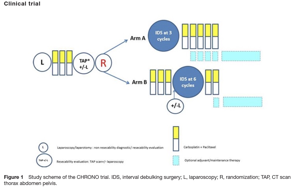 IJGConline's tweet photo. #ClinicalTrial
"CHRONO: randomized trial of the CHROnology of #surgery after Neoadjuvant #chemotherapy for #OvarianCancer"
🔗 https://t.co/DUaUCkAsBQ
#GynCancer #GynOnc
@GynMe4 @gyncsm @pedroramirezMD @HsuMd @agz_eriksson @IJGCfellows https://t.co/6IR0HngrOW