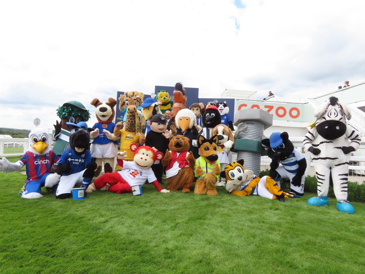 Haydon the Womble tweet media