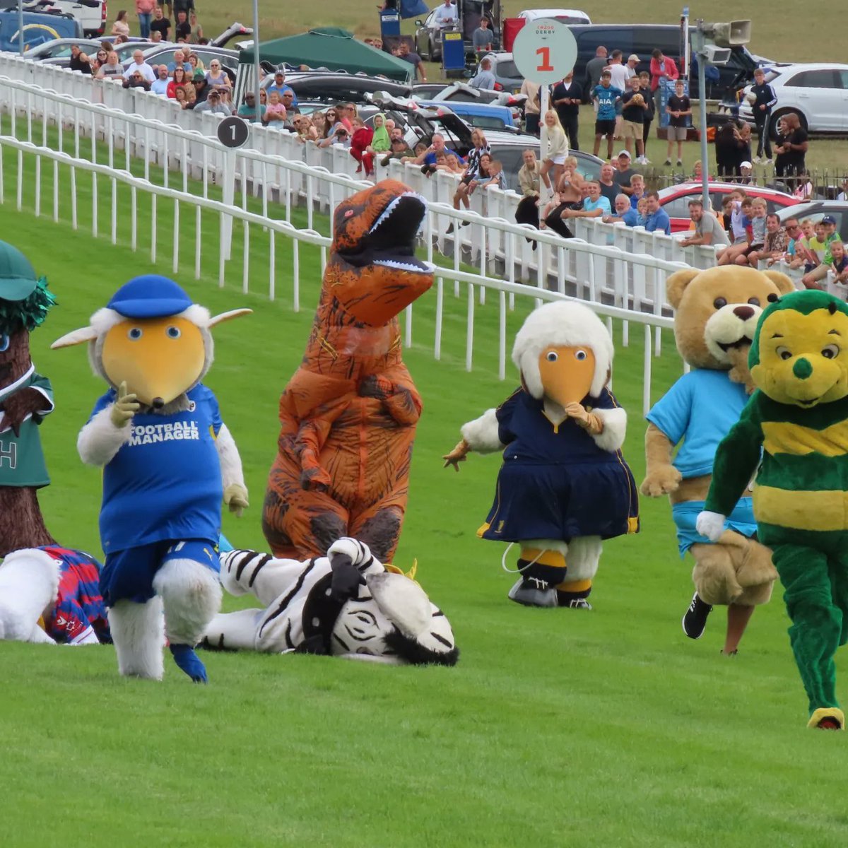 Haydon the Womble tweet media