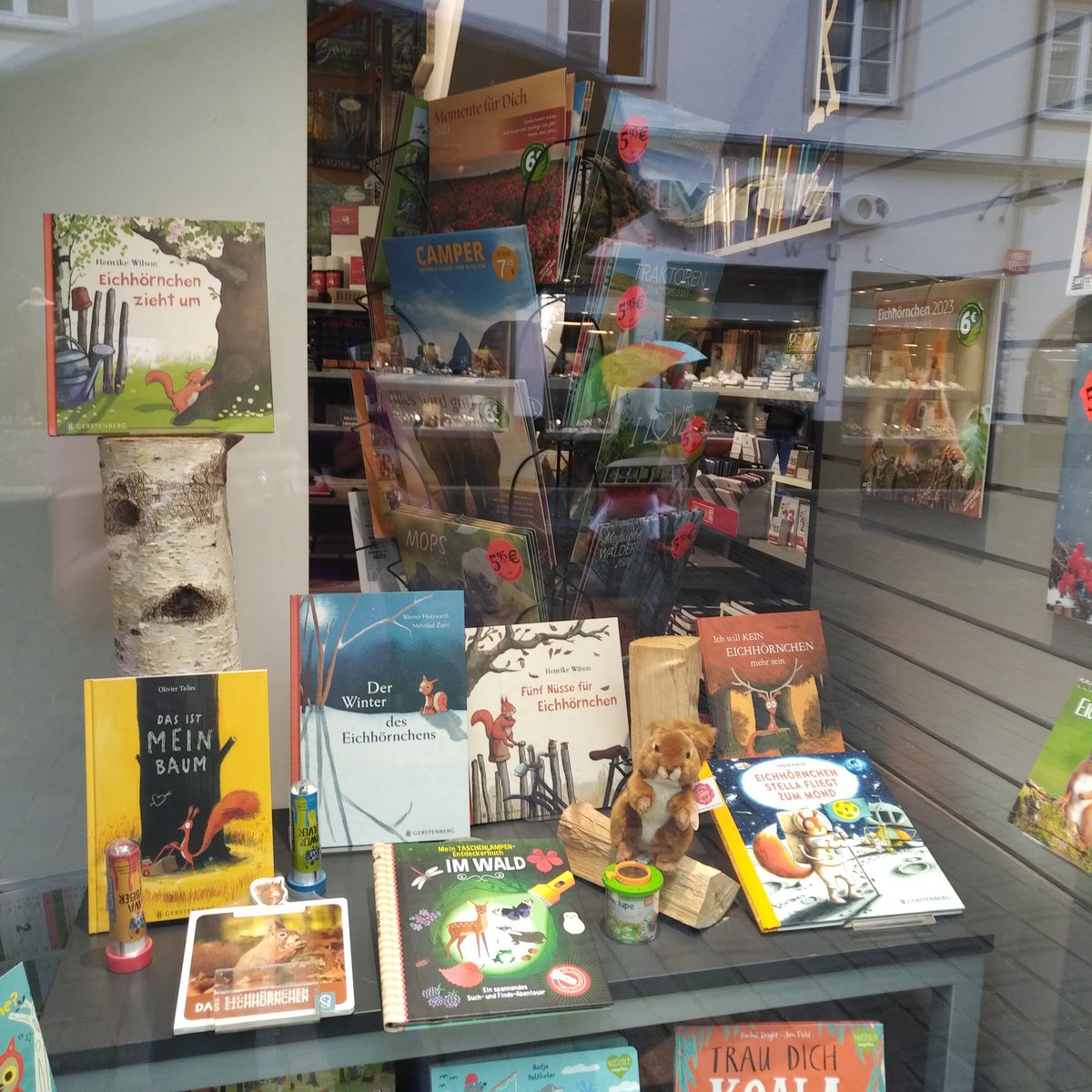 v_i_o_l_a's tweet photo. der preis für das schaufenster des tages geht an bensegger in rosenheim! 🐿️📚💪😍 #squirrelcontent #bookcontent https://t.co/aVtAzhtekA