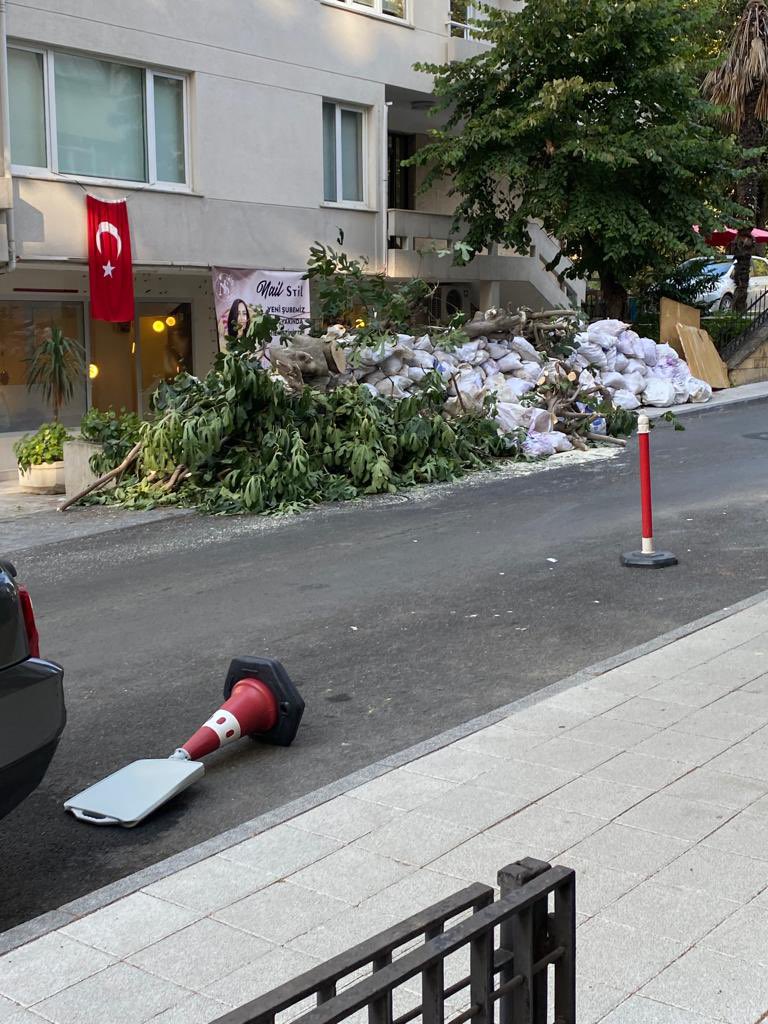 erenyene's tweet photo. @semagkc @kadikoybelediye @ekrem_imamoglu @Mrt_Ongun @mbb_parkvebahce @kadikoybelediye bu canavarlığın cezası para olmamalı. https://t.co/kY6cNB0z9U