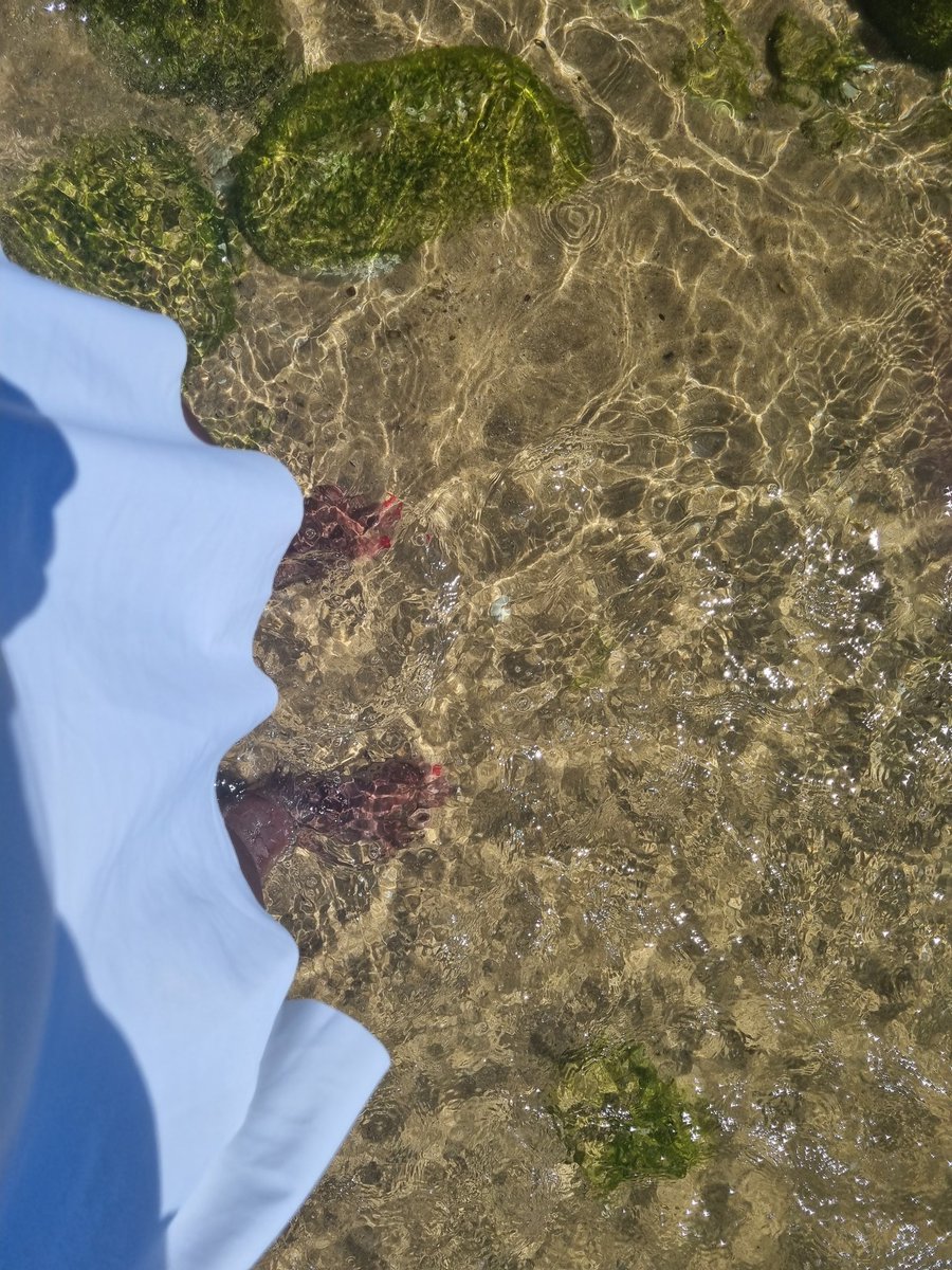 Maria Royle tweet media