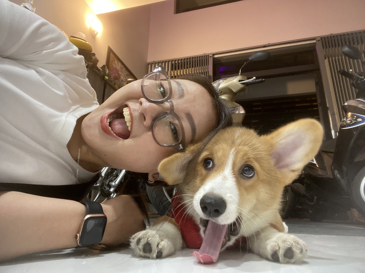huanatian's tweet photo. You love dog and I love dog too. Why don’t we love each other? ♥️

[ #blsd #blselfieday #blselcaday #blselca #Nodted #NodtNutthasid #Nodt #กระดุมของน๊อต ] https://t.co/NgAR3F9oz5