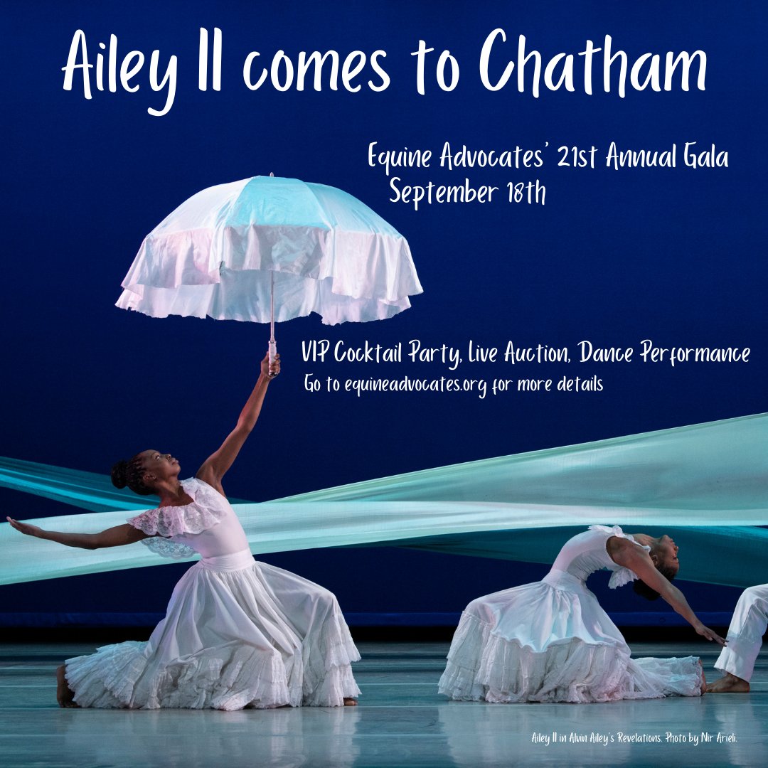 We're just 15 DAYS away from our 21st Annual Gala! We're so excited to welcome Ailey II and its talented dancers to Chatham for this special event. Proceeds from the fundraiser will go toward the care of our 81 rescued equines! BUY TICKETS HERE: equineadvocates.org/2022-gala-fund…