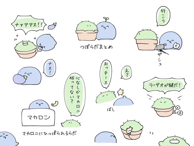 🌵🧣まとめ 