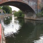 Photo by Reading Mayor's Boundary Walk (@RdgWalk)