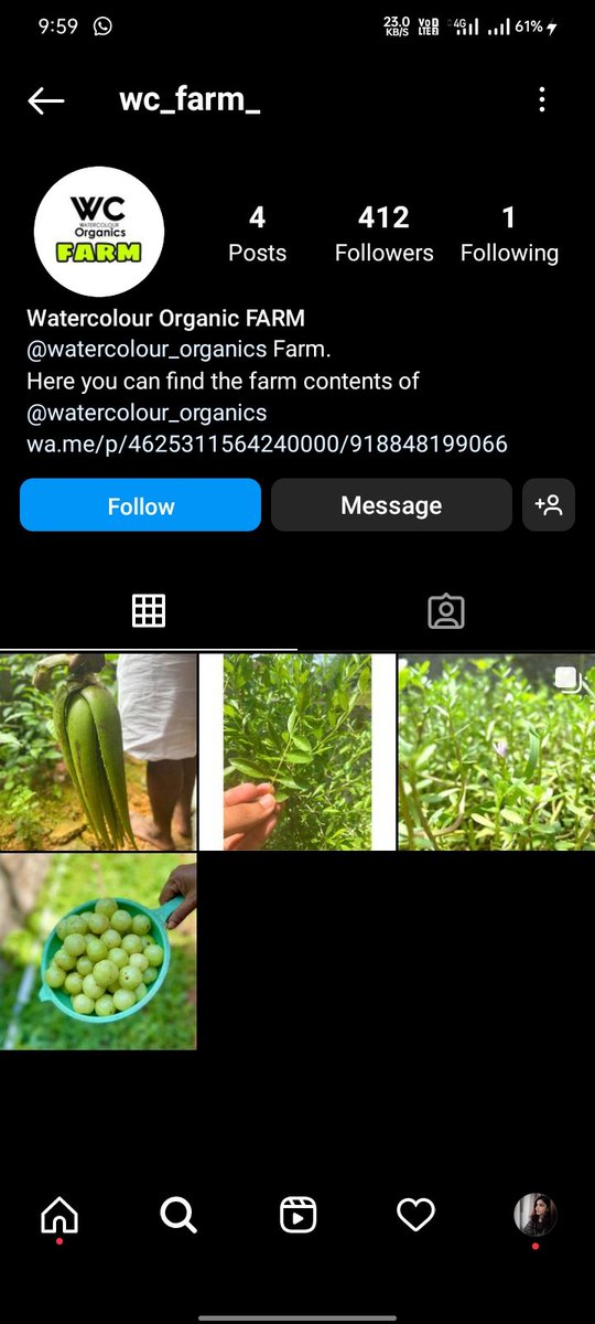 His name is #mafrook_shah running a brand called #watercolour_organics on <a href="/instagram/">Instagram</a> A person who bought this for her brother got reacted on his forehead badly.
he started abusing my frnd
and threating him that he gonna report or hack her account 
#support #consumer_care