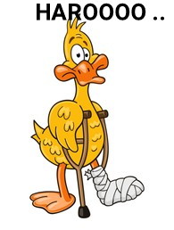 LiveLetLiveKe's tweet image. "After you've argued that IEBC didn't conduct a credible election, what basis in law do we again use to declare your candidate as the winner?" 
~Philomena Mwilu