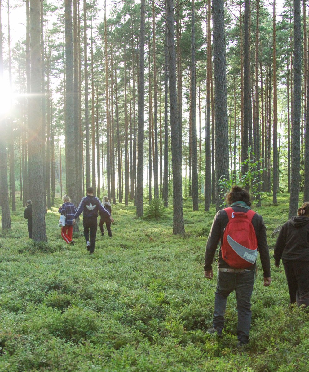 Esto es un bosque de arándanos silvestres. 
Allí, este verano, en la isla de Kemiömsaari (Finlandia), han estado en residencia preparando el estreno que abrirá la Temporada 2022/23. 
[abrimos hilo]