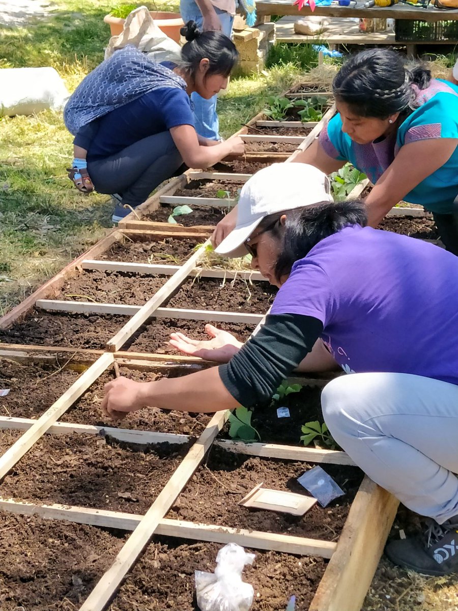 Que importante es sentirnos conectadxs con la naturaleza y comprender a través de la experiencia de la siembra, que cada unx de nosotrxs tenemos dones y talentos que cuando se comparten: 
Se potencializan!💚🌱👩🏽‍🌾👨🏽‍🌾
 #Parati #PiesAgiles #agriculturaurbana #agroecología