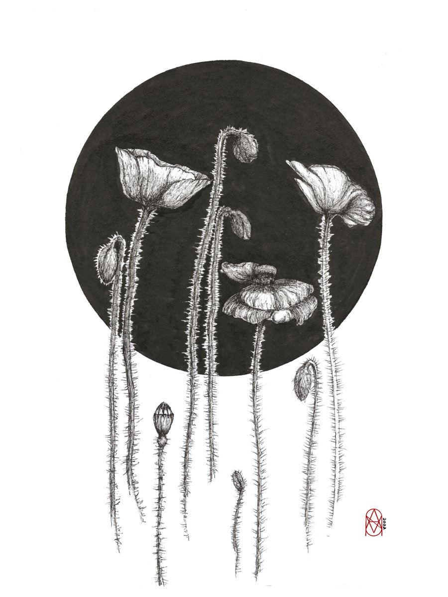 Goodnight 💕✨😴💤