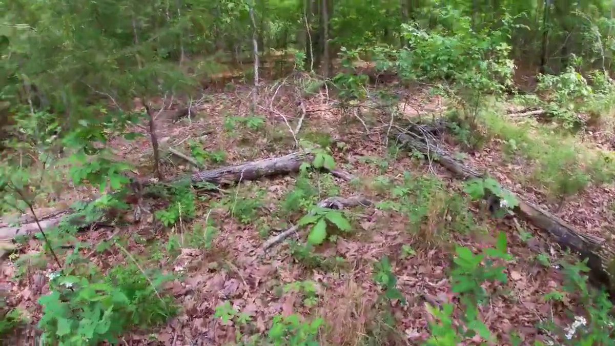 AmandaW74971340's tweet photo. A little trail riding out at Tract 18 of the Devil's Backbone Project.

#trailride #trailriding #trail #offroad #adventure #nature #trails #outdoors #photography #motorbike #motorcycle #fourwheel #fourwheeler https://t.co/GzpvRqU0W0