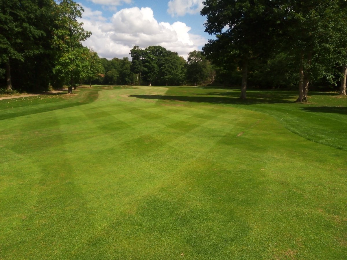 Steve lewis tweet media