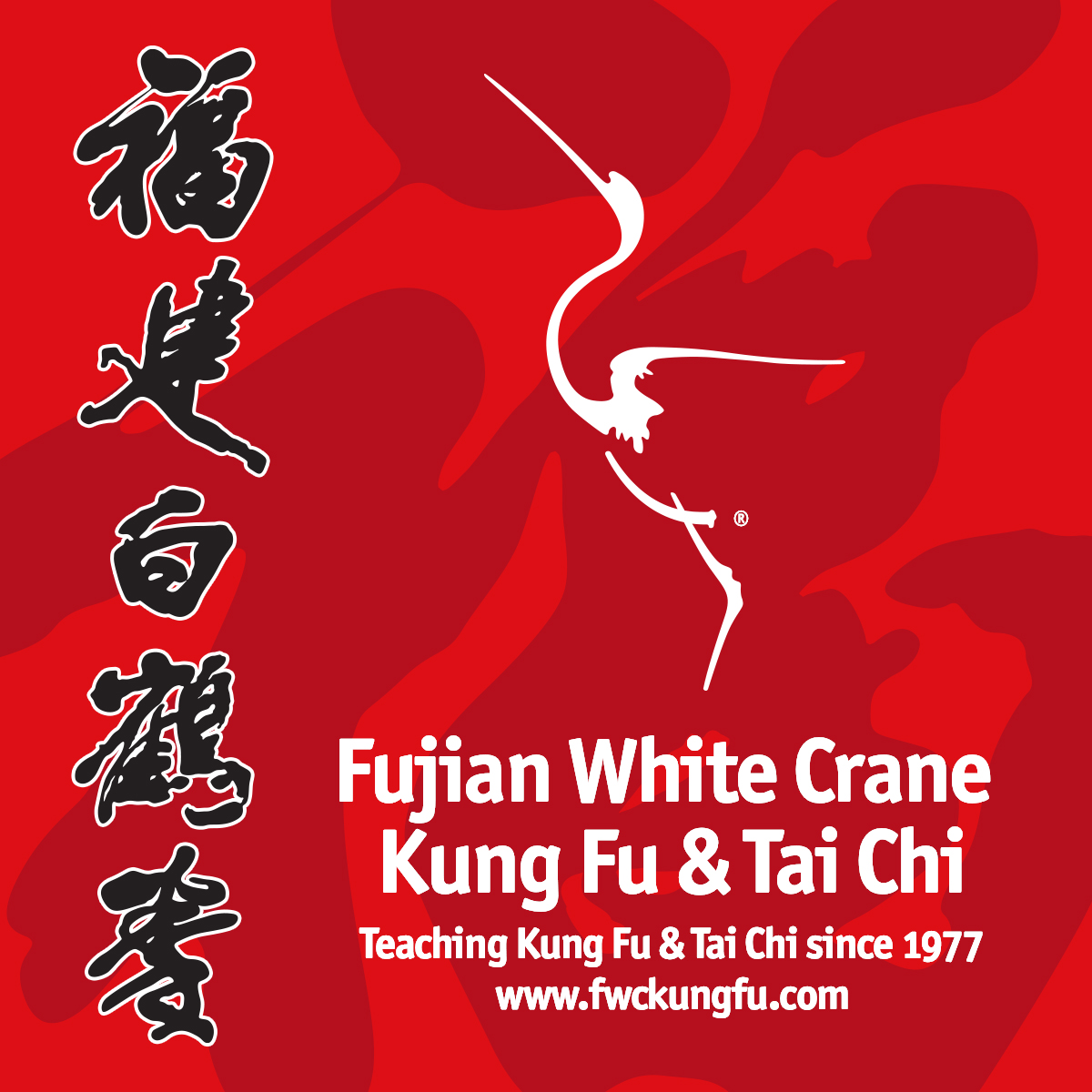 Beginner Kung Fu and Tai Chi classes available for new students in South London this September. #exercise #somethingnew #southlondon #training #taichi #kungfu #beginner #dulwich #balham #clapham