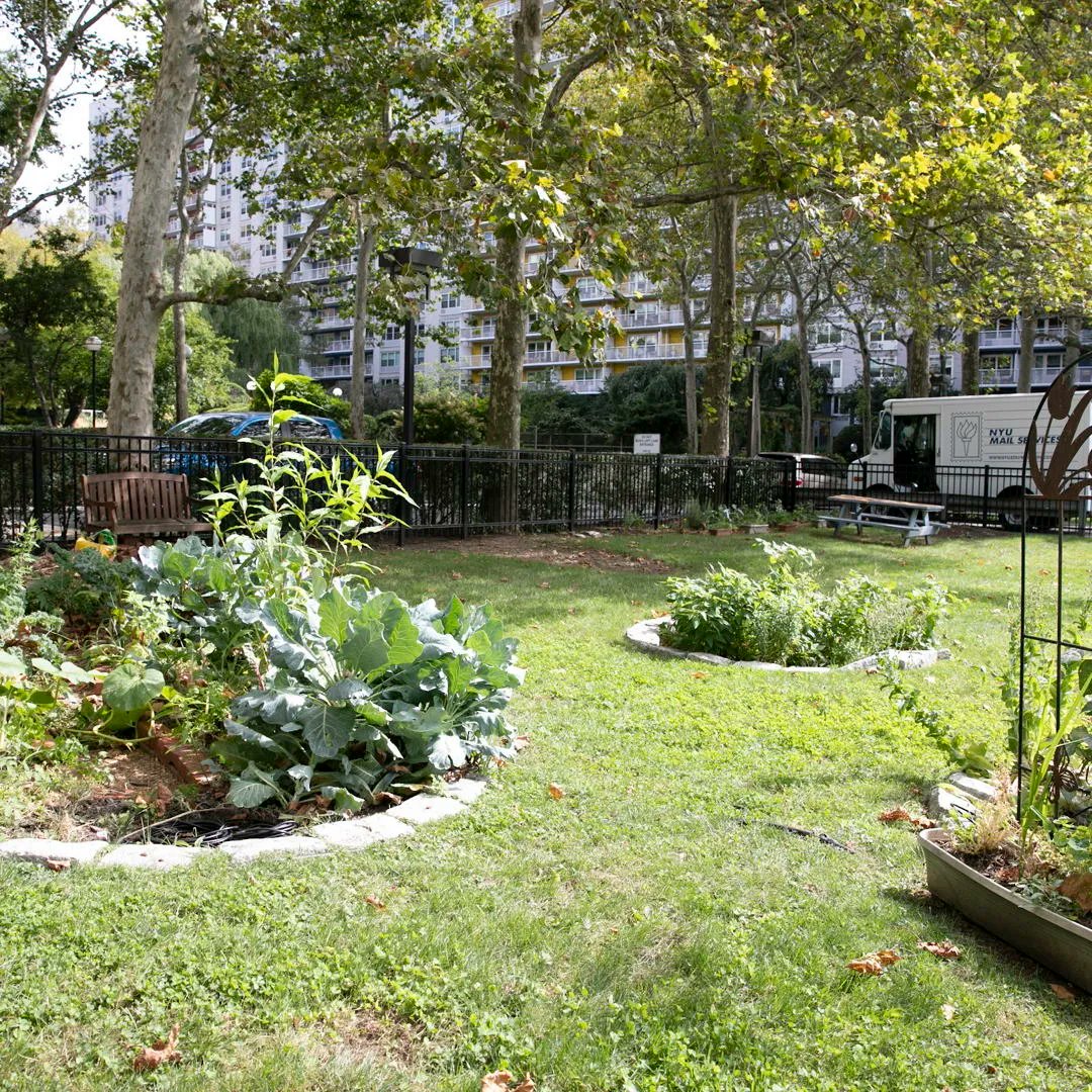 NYUgreen's tweet photo. Missed the Green Campus Tour? It's not too late to learn more about NYU's green spaces and sustainability efforts. Join the tour on Thursday September 1 at 2pm ET.  https://t.co/GkI2vemvzJ  

#NewYorkUniversity #NYU #NYUTransfers #NYU2026 #NYUWelcome https://t.co/sHmETSRdhY