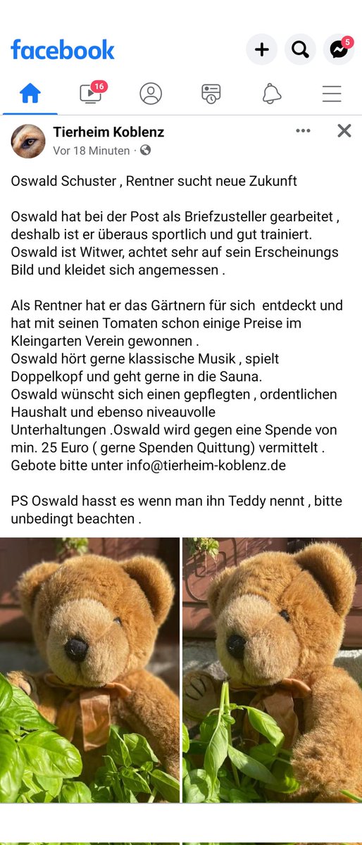 Das Tierheim Koblenz vermittelt zur Zeit Stofftiere aus schlechter Haltung mit viel Fantasie: m.facebook.com/story.php?stor…