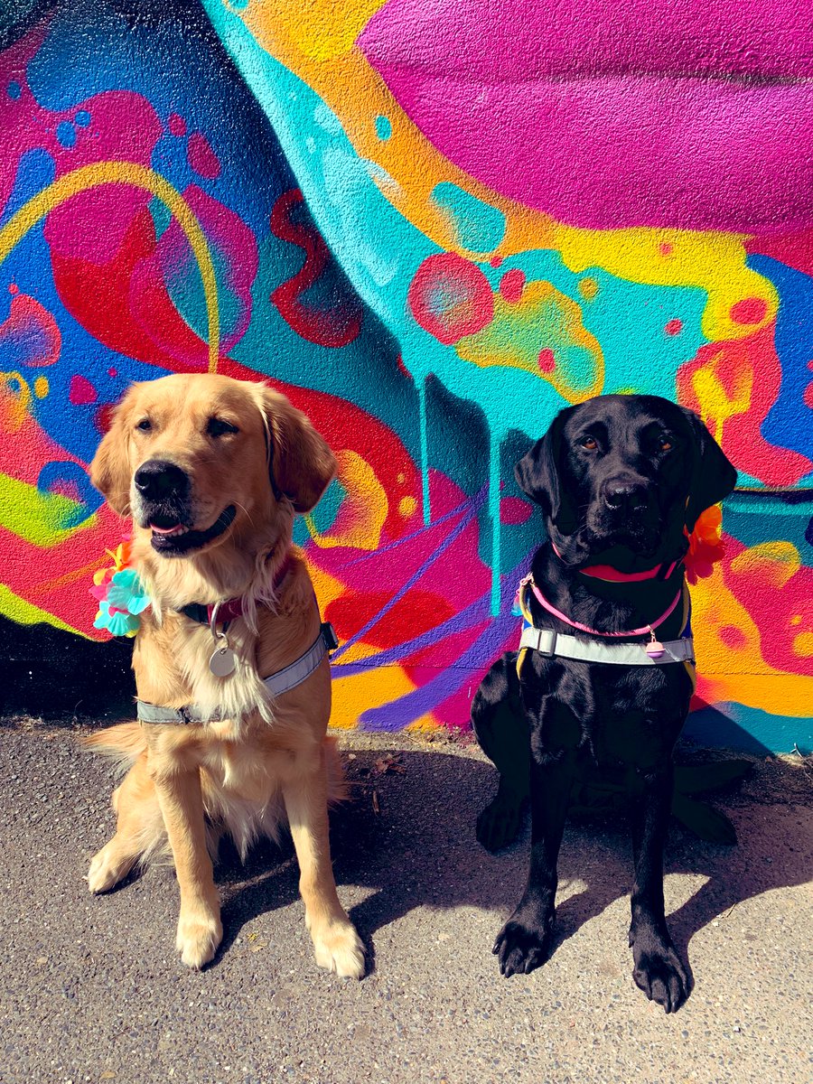 Mrs Kerg (@mrs_kerg) on Twitter photo Back to school <a href="/LyceePissarro/">Lycée Camille Pissarro</a>
Back on track with our dedicated <a href="/ChienguideParis/">Chiens Guides Paris</a> assistance dogs
To all our pupils and students 🎓📚« Welcome (back) » 💻
Looking forward to seeing you soon Back to school <a href="/LyceePissarro/">Lycée Camille Pissarro</a>
Back on track with our dedicated <a href="/ChienguideParis/">Chiens Guides Paris</a> assistance dogs
To all our pupils and students 🎓📚« Welcome (back) » 💻
Looking forward to seeing you soon