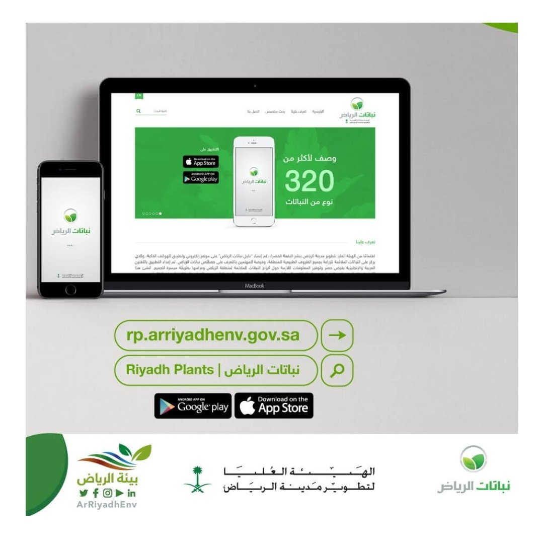 YahyaAlshaikhi's tweet photo. #مصادر_المت��جم
#الترجمة_العلمية
#الترجمة_الزراعية

دليل نباتات الرياض

تعرف على اكثر من 320 نبته مع شرح  باللغتين.

النسخة العربية: 

https://t.co/DwplzL2jgw

النسخة الانجليزية :

https://t.co/ns09INT6ER

تطبيق نباتات الرياض الإل��تروني :

https://t.co/h7a7cuCypp https://t.co/DivISPGCiI