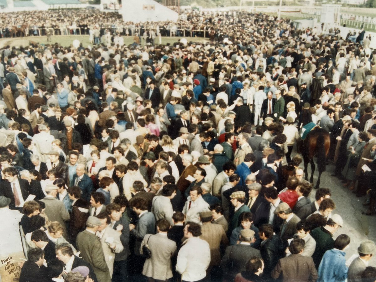 <a href="/ListowelRaces/">Listowel Races</a>  
Remember when the horses and grooms would walk through the crowd to the parade ring !! 
This years Harvest Festival starts Sunday 18th September to Saturday 24th. 
See listowelraces.ie for tickets.