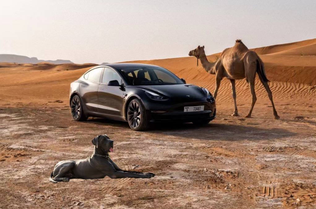 DK333333333's tweet photo. @BSCNews @DogeKingCHN There's always a doge beside Tesla https://t.co/AbUhq1GzB5
