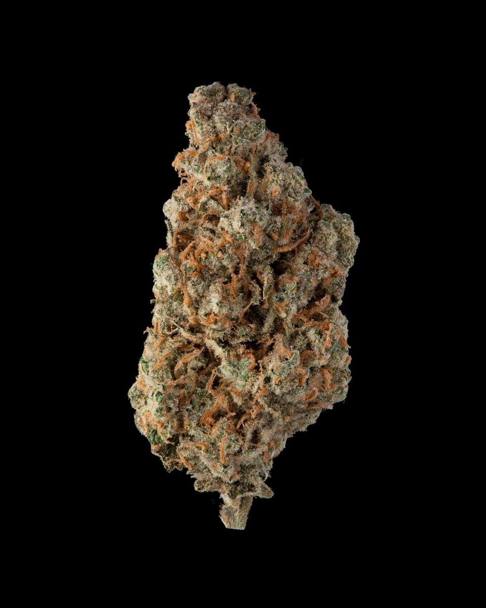 the_lemonnade's tweet photo. { TangEray } grown at MadCow 🌴🌴🌴 https://t.co/v30n3mCl8n