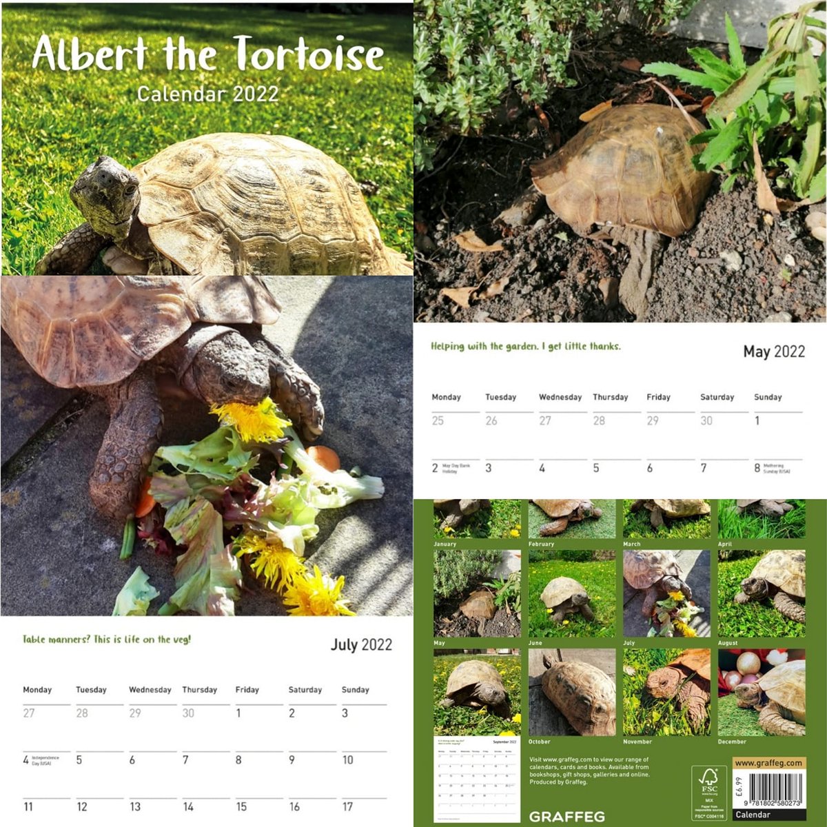 AlbertTortoise's tweet photo. It's #September! - Who's flipped the page on their #ALBERTthetortoise #Calendar?! We have though we can't believe another month is gone. Best wishes all. - https://t.co/ifzLh573KF
#tortoise #pose #makeadate #nature #gardenlife #turtle https://t.co/5npmmXPwuT